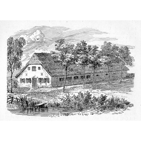 Lübeck okolice drzeworyt