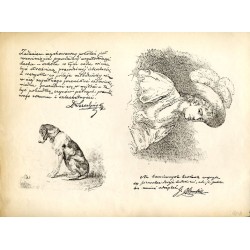 [1] "13. Ludomir Benedyktowicz - Głowa wieśniaka polskiego." / [2] "14. J. Rosen - Wyżeł. / [3] Abramowicz - rysunek piórem."