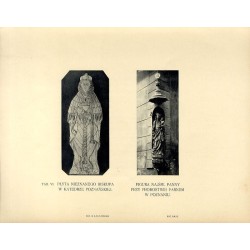 Płyta nieznanego biskupa w katedrze poznańskiej. Figura Najśw. Panny przy probostwie farnym w Poznaniu / "TAB. VI. PŁYTA NIEZNAN