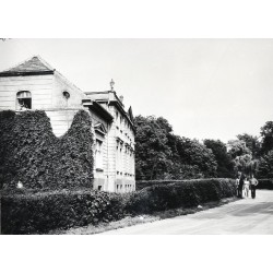 "Lubasz - Park, widok w kierunku pałacu (obecnie własność PGR) fot. J. Tymiński 1295/W 68-104 05907-1 Barwne"