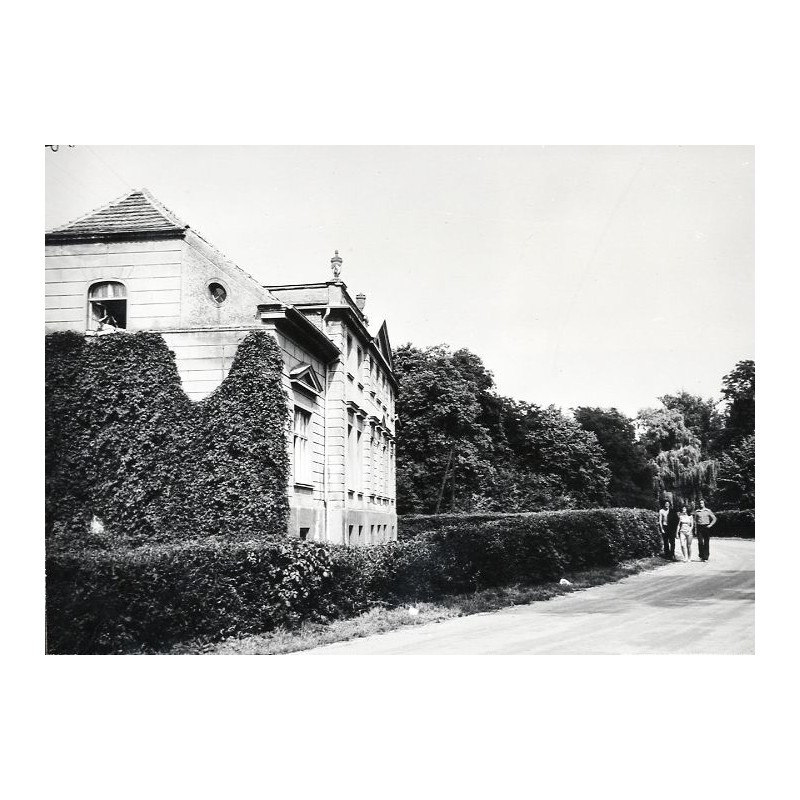 "Lubasz - Park, widok w kierunku pałacu (obecnie własność PGR) fot. J. Tymiński 1295/W 68-104 05907-1 Barwne"