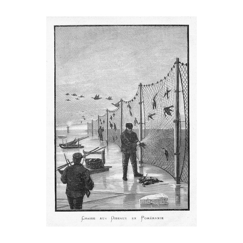 Chasse aux Qiseaux en Pomeranie / "CHASSE AUX QISEAUX EN POMÉRANIE"