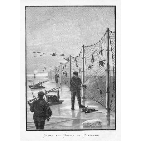 Chasse aux Qiseaux en Pomeranie / "CHASSE AUX QISEAUX EN POMÉRANIE"