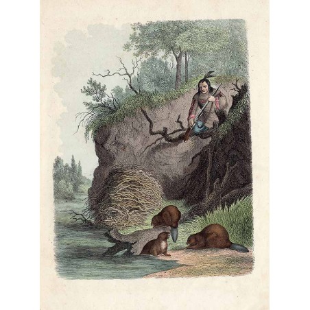 ("Bobry.")