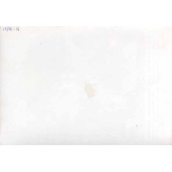 "Zgodnie z zaleceniem Rady Bezpieczeństwa Zgromadzenie Ogólne NZ wybrało ponownie Kurta Waldheima sekretarzem generalnym ONZ [..