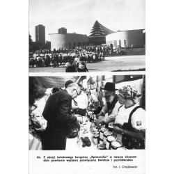 "6b. Z okazji światowego kongresu "Apimondia" w nowym chorzowskim pawilonie wystawa poświęcona kwiatom i pszczelarstwu fot. J. C