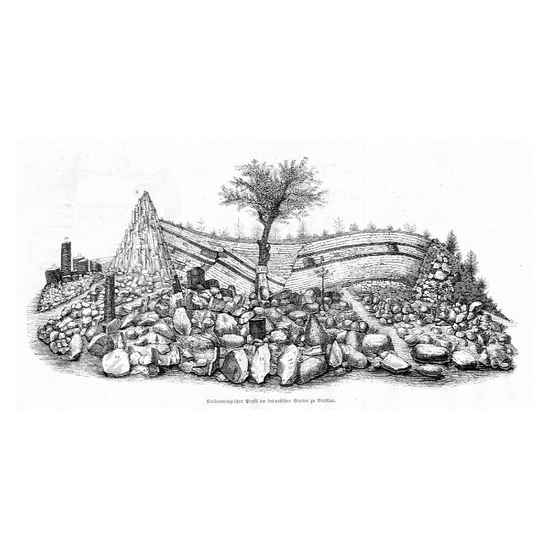 "Paläontologisches Profil im botanischen Garten zu Breslau."