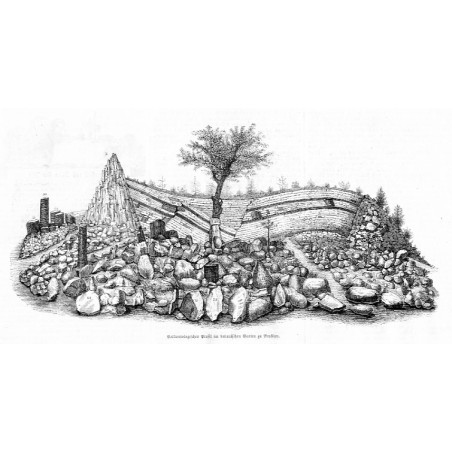 "Paläontologisches Profil im botanischen Garten zu Breslau."