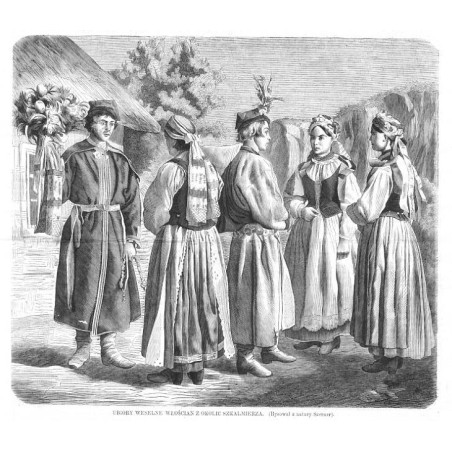 Ubiory weselne włościan z okolic Szkalmierza / "UBIORY WESELNE WŁOŚCIAN Z OKOLIC SZKALMIERZA. (Rysował z natury Szerner)."