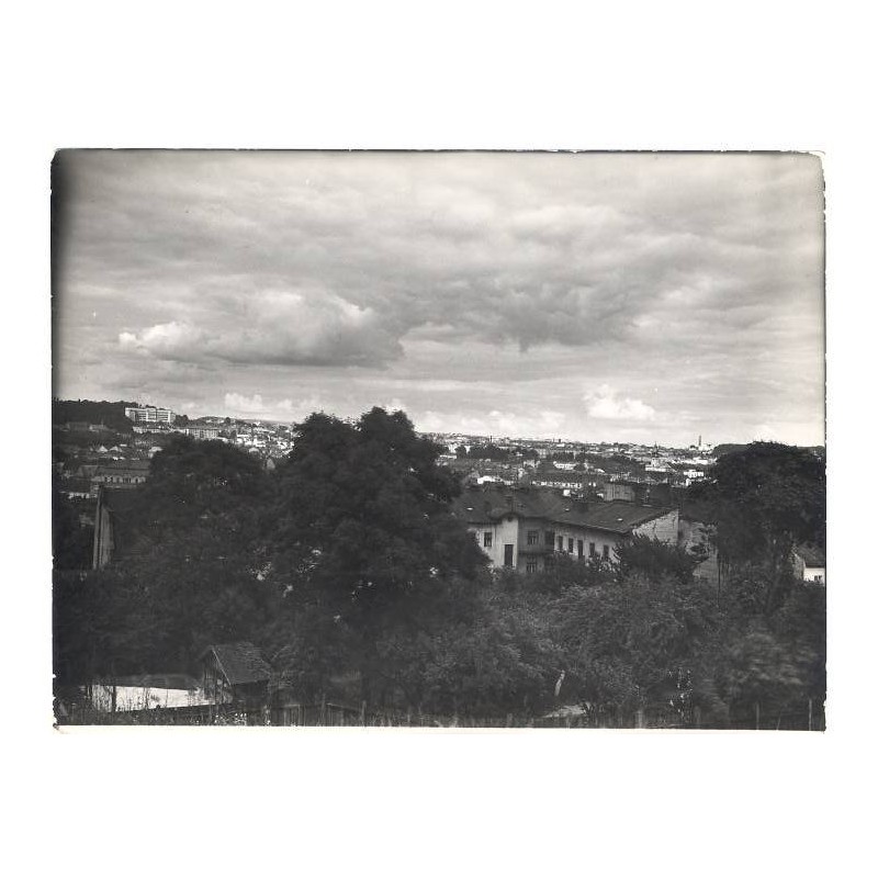 Panorama Lwowa