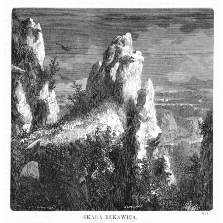 Skała Rękawica / "SKAŁA RĘKAWICA. 627"