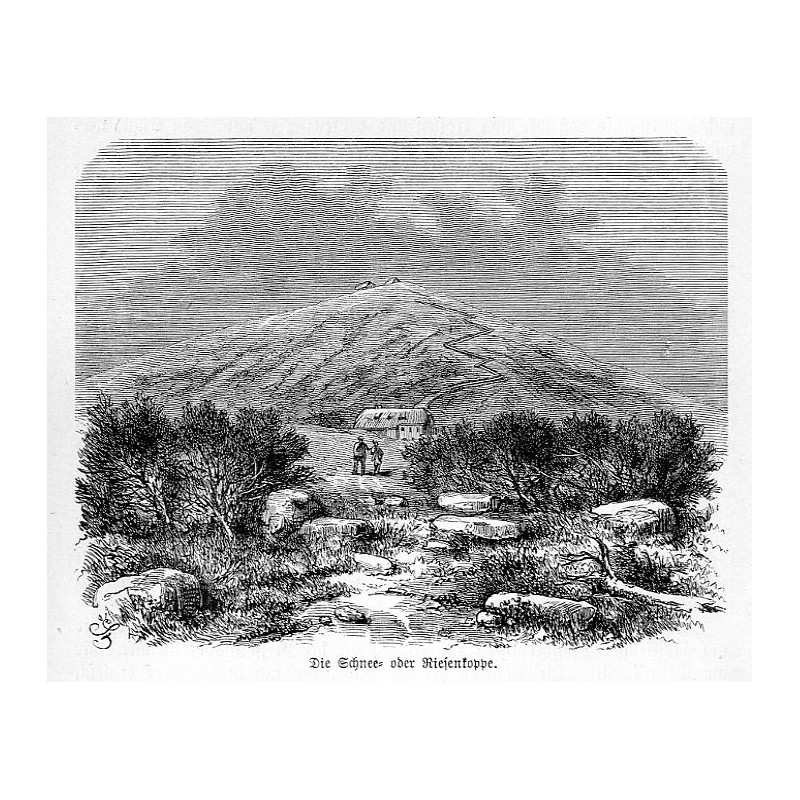 "Die Schnee oder Riesenkoppe."