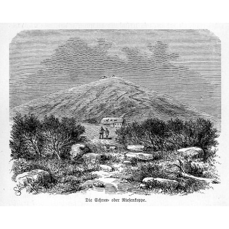 "Die Schnee oder Riesenkoppe."