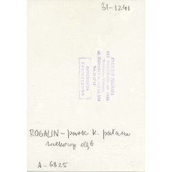 "ROGALIN - park k. pałacu wiekowy dąb. 31-1241 A-6825"
