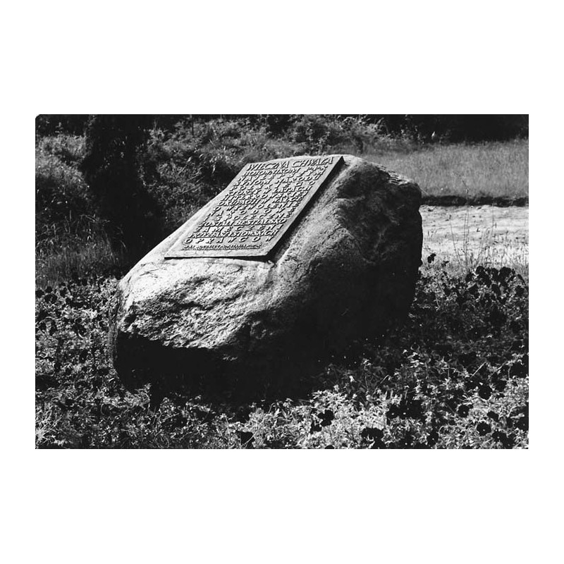Żabikowo / "4653 ŻABIKOWO 31-2636"
