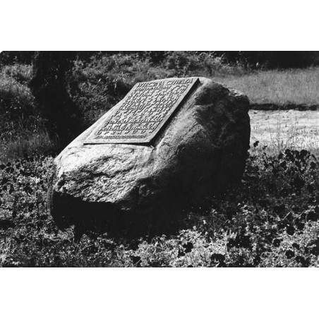 Żabikowo / "4653 ŻABIKOWO 31-2636"