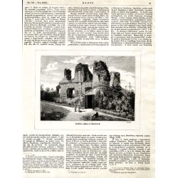 "Zwaliska zamku w Paniowcach (5546)"