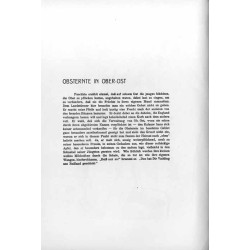 [42] Obsternte in Ober-Ost / [42] "OBSTERNTE IN OBER-OST" / Niemiecki żołnierz palący fajkę w sadzie jabłkowym na obszarze ówcze