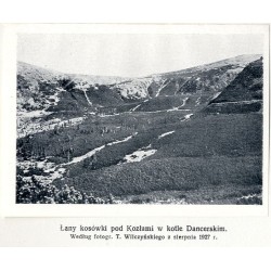 "Krzak Kosówki (Pinus mughus Scop.) na stoku Pożyżewskiej. Według fotografji T. Wilczyńskiego, zdjętej 24 maja 1929 r. "