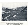 "Krzak Kosówki (Pinus mughus Scop.) na stoku Pożyżewskiej. Według fotografji T. Wilczyńskiego, zdjętej 24 maja 1929 r. "