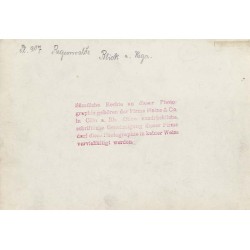 " Pl. 917 Regenwalde Blick a. Rega."