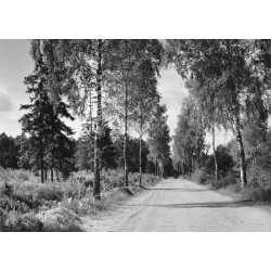 "Okol. Międzyborza 36-1985 3329/26"