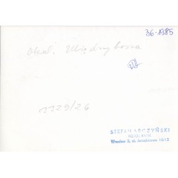 "Okol. Międzyborza 36-1985 3329/26"