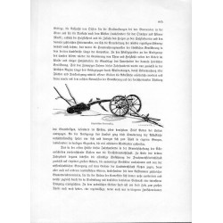 "Altpolnischer Bauernpflug."