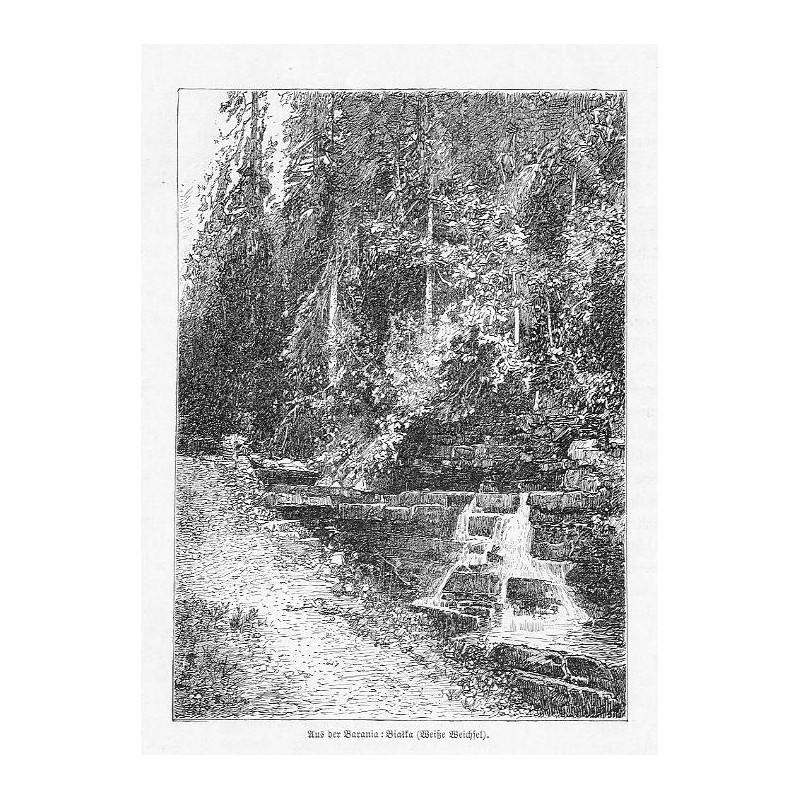 "Aus der Barania : Białka (Weisse Weichsel)."