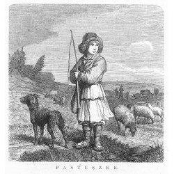 Litwa. Wiłkomierz okolice. Pastuszek / "PASTUSZEK."