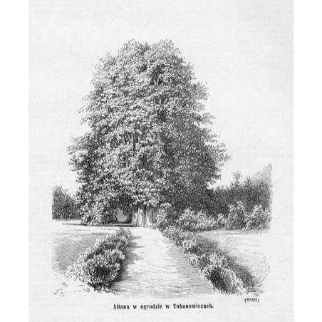 [1] "Altana w ogrodzie w Tuhanowiczach. (6690)" [2] "Brzoza Mickiewicza w Tuhanowiczach. (6691)"