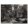 "Elbląg - Park Bażantarnia W-18891 22-970"