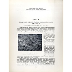 "Kwitnący zespół Psiej trawki (Nardetum) na połoninie Pożyżewskiej. Według fotografji T. Wilczyńskiego, zdjętej w połowie czerwc