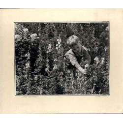 "Mały ogrodnik"