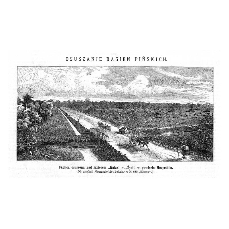 "Okolica osuszona nad jeziorem "Kniaź" v. "Żyd", w powiecie Mozyrskim [...]"