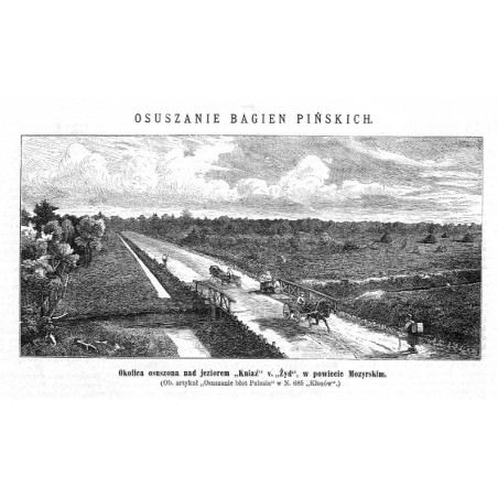"Okolica osuszona nad jeziorem "Kniaź" v. "Żyd", w powiecie Mozyrskim [...]"