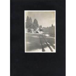 "29. ŚWIATŁO I CIEŃ."