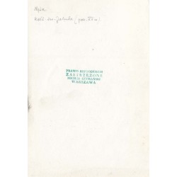 "Nysa kość. św. Jakuba (pocz. XV w)"