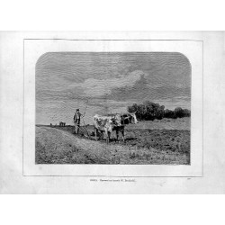 "ORKA. Rysował na drzewie W. Brochocki. 569"