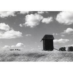 "POZNAŃSKIE - Osiek Krajobraz 31-2565 B II087"