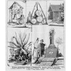 "Wystawa przemysłowo-rolnicza w Stanisławowie. Rysował z natury W. Grabowski. 1) Dzwony z Czerniowiec, Geiba. 2) Okazy drzewa z