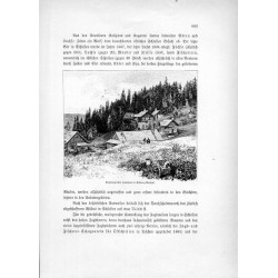 "Erzherzogliches Jagdhaus in Schwarz-Weichsel."