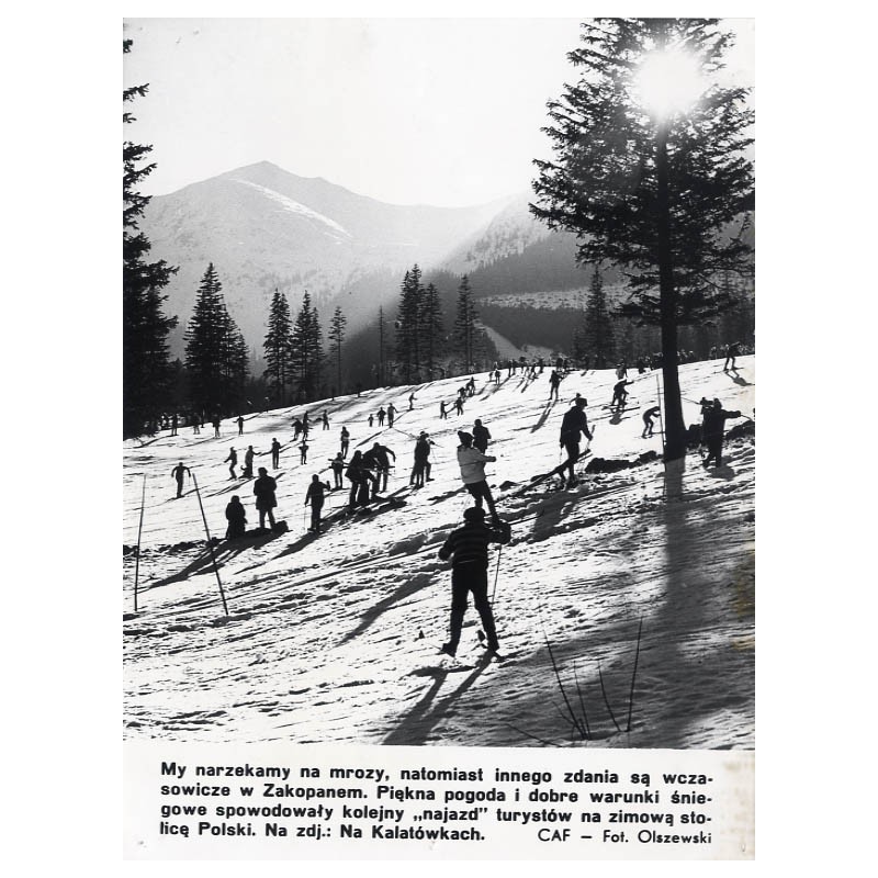 "[...] Na zdj.: Na Kalatówkach. CAF - Fot. Olszewski"