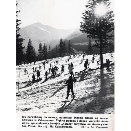 "[...] Na zdj.: Na Kalatówkach. CAF - Fot. Olszewski"