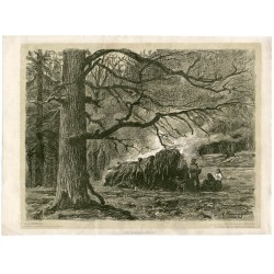 Szałas drwali Puszcza Białowieska / "SZAŁAS DRWALI."