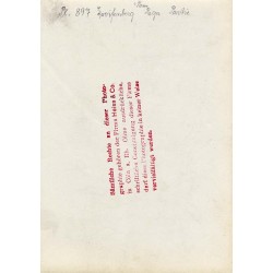 "Pl. 887 Greifenberg i/Pom. Rega Partie"