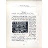 "Świerkowy las masztowy na zboczach Pożyżewskiej. Według fotografji T. Wilczyńskiego, zdjętej we wrześniu 1927 r."