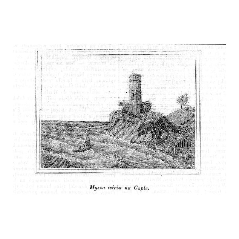 "Mysza wieża na Gople."