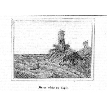 "Mysza wieża na Gople."