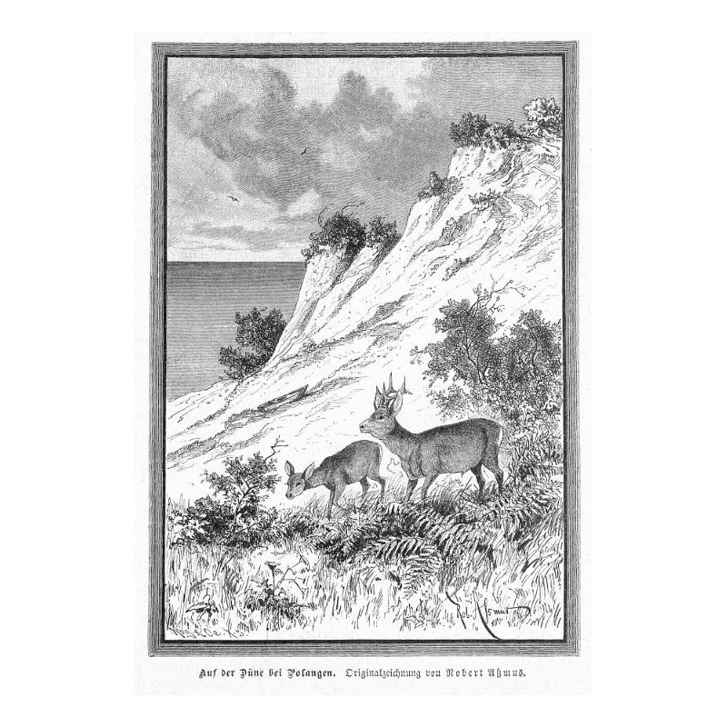 "Schmugglerbilder von der preußisch-russischen Grenze. Mit Orginalzeichnungen von Robert Aßmus. [1] Aus der Düne bei Polangen. O